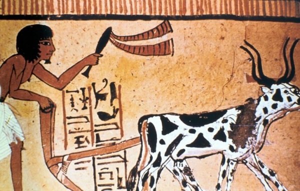 Подборка сочных фактов о Древнем Египте, которые перевернут ваши представления об этой эпохе